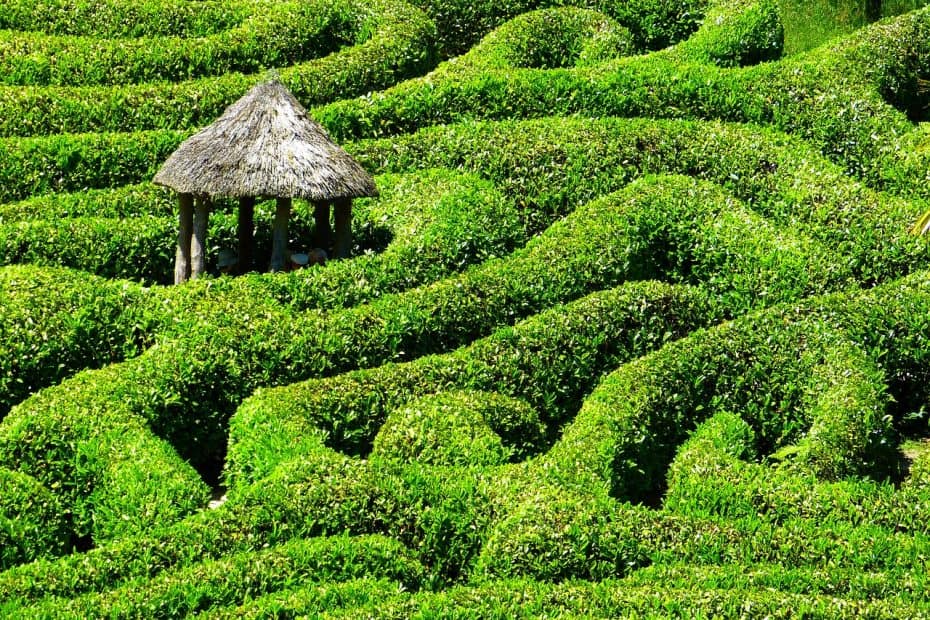 labirinto - giardino - capanna